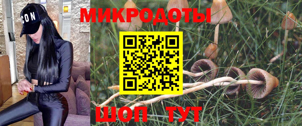 Железногорск  Псилоцибиновые грибы Psilocybine cubensis  Вход с VPN  где найти   Псилоцибиновые грибы ЛСД 