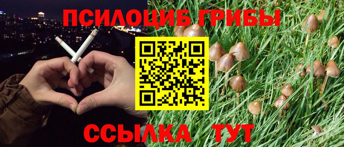 Псилоцибиновые грибы Magic Shrooms Железногорск